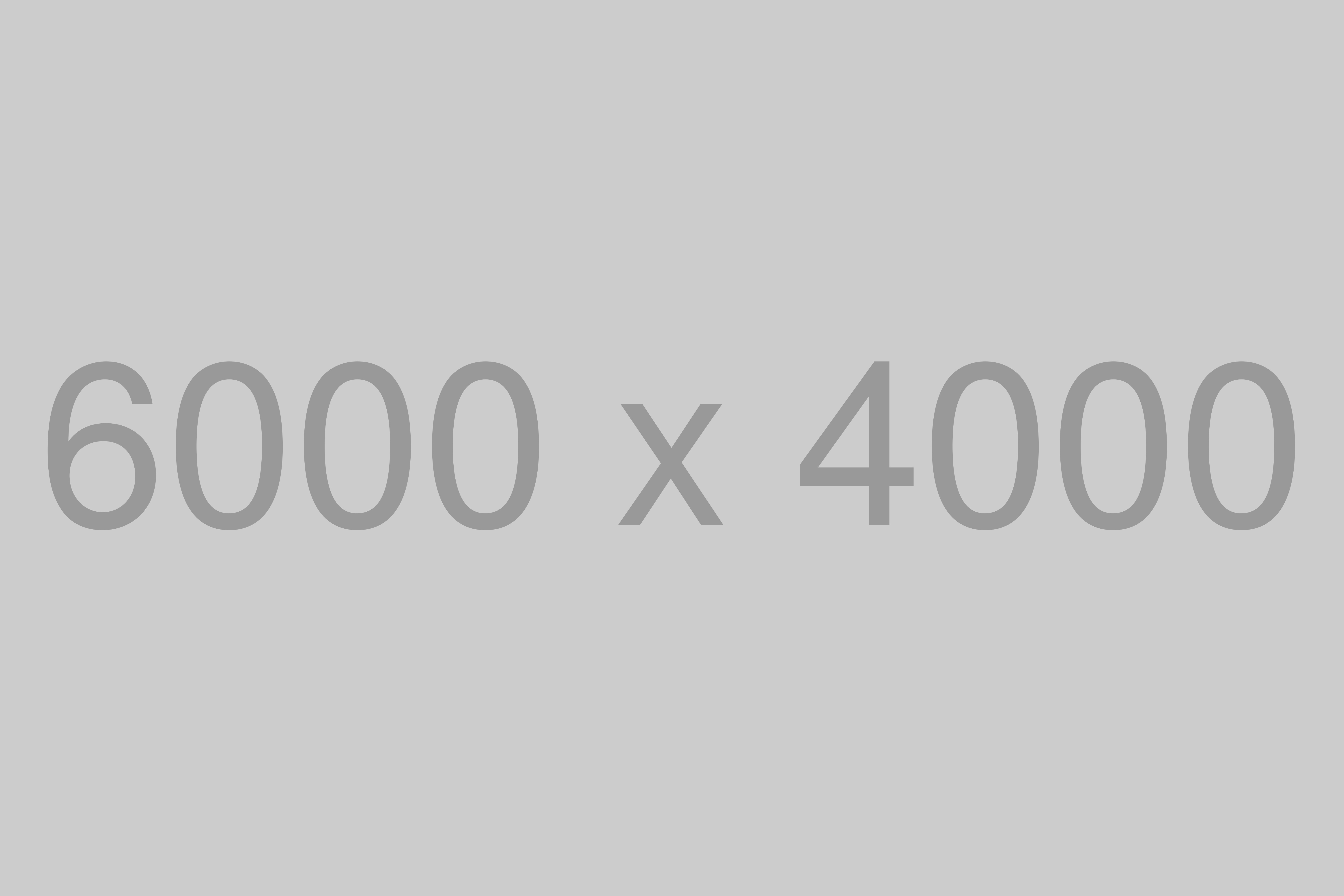 Extracurricular Activities